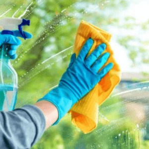 Diseño sin título (12)